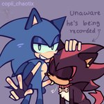 anthro collar duo ear_piercing eyes_closed fellatio half-closed_eyes hand_on_head looking_at_viewer male male/male narrowed_eyes oral penile piercing sex submissive submissive_male copii_chaotix sega sonic_the_hedgehog_(series) shadow_the_hedgehog sonic_the_hedgehog eulipotyphlan hedgehog mammal 1:1