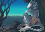 anthro blue_eyes clothed clothing detailed_background fur male rear_view sitting solo tail topless raesheris sergal digital_media_(artwork) hi_res