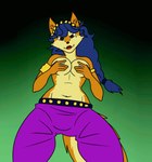 anthro belly_dancer blue_hair breasts clothed clothing dancing ear_piercing female hair lipstick makeup mole_under_eye nipples orange_body piercing solo topless kangaboo sly_cooper_(series) sony_corporation sony_interactive_entertainment sucker_punch_productions carmelita_fox canid canine fox mammal animated hi_res short_playtime