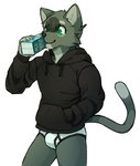 anthro black_clothing black_hoodie black_topwear briefs bulge clothing drawyourfursona hoodie hoodie/briefs_meme male solo standing topwear underwear white_clothing white_underwear lemonzealot meme_clothing domestic_cat felid feline felis mammal meme