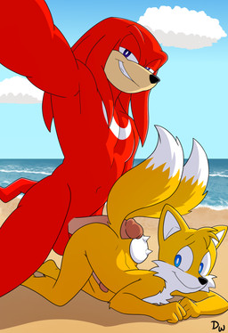 2_tails all_fours anthro balls beach blue_eyes duo erection genitals glans hot_dogging imminent_sex male male/male multi_tail penis public red_body selfie sex size_difference smile tail yellow_body darkwolf79 sega sonic_the_hedgehog_(series) knuckles_the_echidna miles_prower canid canine echidna fox mammal monotreme absurd_res hi_res