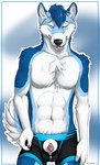 abs abstract_background animal_genitalia animal_penis anthro balls barely_visible_balls barely_visible_genitalia biped black_nose blue_body blue_eyes blue_fur blue_hair blue_tail border boxer_briefs canine_genitalia canine_penis chest_tuft claws clothed clothing clothing_aside detached_sheath fur genitals hair half-closed_eyes inner_ear_fluff looking_at_viewer male multicolored_body multicolored_fur multicolored_tail narrowed_eyes navel one_eye_closed penis penis_poking_out penis_through_fly penis_tip penis_towards_viewer pink_penis presenting presenting_penis sheath sheath_through_fly simple_background smile solo standing tail tongue tongue_out tuft underwear underwear_aside unzipped white_balls white_body white_border white_fur white_sheath white_tail zipper zipper_underwear truegrave9 banshee_(draco751) canid canine canis mammal wolf 2015 portrait signature three-quarter_portrait