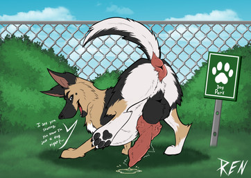 animal_genitalia animal_penis anus balls big_penis canine_genitalia canine_penis dialogue dog_park erection feral genitals huge_penis knot knotted_penis male paws penis presenting presenting_anus puffy_anus raised_tail solo tail talking_feral talking_to_viewer text vein veiny_knot veiny_penis sashimiren canid canine canis domestic_dog german_shepherd herding_dog mammal pastoral_dog english_text hi_res