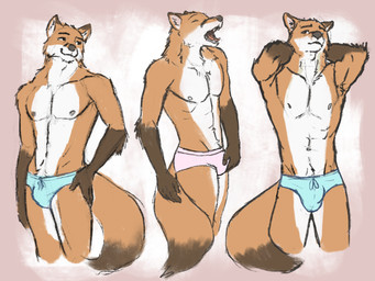 anthro biped bulge clothing detailed_bulge groping_crotch male male_anthro muscular muscular_male nipples self_grope solo speedo swimwear tail underwear antauess canid canine fox mammal 4:3 digital_media_(artwork) hi_res