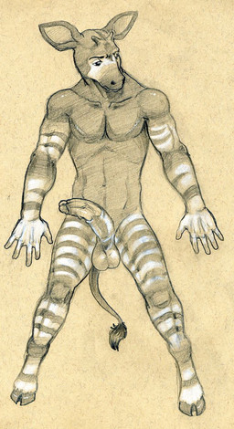 abs anthro balls biceps big_penis biped circumcised fur genitals half-erect hooves horn humanoid_genitalia humanoid_penis lying male markings muscular muscular_anthro muscular_male nude ossicone pecs penis pose simple_background solo standing stripes tail vein tush_(artist) giraffid mammal okapi 2013 sketch traditional_media_(artwork)