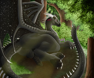 animal_genitalia animal_penis anus balls black_body butt erection feet feral forest genitals grass grin hindpaw looking_at_viewer lying male on_side paws penis pink_eyes plant rear_view smile solo tail tree wings taro_soymilk european_mythology mythology wings_of_fire graphite_(squeed2115) dragon mythological_creature mythological_scalie nightwing_(wof) scalie western_dragon 6:5 absurd_res colored digital_drawing_(artwork) digital_media_(artwork) hi_res shaded
