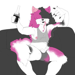alcohol anthro beer beer_belly belly beverage bodily_fluids bulge clothing dripping female genital_fluids gynomorph intersex nipples panties precum precum_drip solo spread_legs spreading underwear radiumraccoon hayli_(trans_tank) calico_cat domestic_cat felid feline felis mammal 1:1 absurd_res hi_res