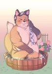 anthro bathing black_body black_fur blush breasts elderly elderly_female female fur grey_hair hair liver_spots nude orange_body orange_fur sagging_breasts solo tan_body tan_fur water wrinkles hebokun canid canine fox mammal