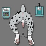 animal_genitalia animal_penis anthro anus backsack balls butt condom_dispenser cuff_(restraint) erection faceless_character feline_genitalia feline_penis fur genitals lube lube_bottle male nude pawpads paws penile_spines penis public_use restraints solo spread_anus spreading tapering_penis text through_wall solar felid feline lynx mammal 1:1 absurd_res english_text hi_res