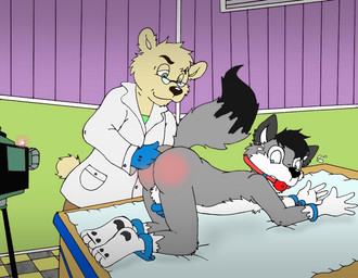 3_toes 4_fingers age_difference all_fours anal anal_fingering ankle_cuffs anthro anthro_fingered anthro_fingering anthro_fingering_anthro anthro_on_anthro anus ass_up backsack ball_gag balls biped black_hair black_nose black_tail blush bodily_fluids body_blush bound butt butt_blush camera cheek_tuft clothed clothed/nude clothing coat countershading cuff_(restraint) detailed_background dipstick_tail doctor dominant dominant_male duo examination examination_table eyebrows eyewear facial_tuft feet fingering fingering_partner fingers flying_sweatdrops fully_clothed fur furniture gag gagged genitals glasses gloves gloves_(marking) green_eyes grey_body grey_eyes grey_fur grey_tail hair half-closed_eyes handcuffs handjob handwear inside interspecies larger_dom leg_markings looking_back looking_down male male/male male_fingering_male markings medical_examination metal_cuffs multicolored_body multicolored_fur multicolored_tail narrowed_eyes nude older_dom_younger_sub older_male on_table patient penetration penile prostate_exam raised_tail recording reddened_butt restraining_table restraints sex shackles short_hair size_difference smaller_penetrated socks_(marking) spank_marks submissive submissive_male surprised sweat sweatdrop table tail tail_markings tan_body tan_fur tan_tail toes topwear tuft two_tone_body two_tone_fur two_tone_tail white_body white_fur wide_eyed younger_male younger_penetrated nelson88 dr._checks_(nelson88) loupylupine bear canid canine canis mammal wolf digital_media_(artwork)