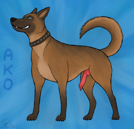 anatomically_correct anatomically_correct_genitalia anatomically_correct_penis animal_genitalia animal_penis blue_background blue_eyes brown_body canine_genitalia canine_penis collar feral genitals knot male penis raised_tail scar showing_teeth simple_background smug_grin solo spiked_collar spikes tail text maklykan ako_(maklykan) canid canine canis domestic_dog german_shepherd herding_dog malinois_dog mammal pastoral_dog sheepdog absurd_res character_name hi_res