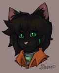 anthro black_body black_fur clothing detachable detachable_head fur green_eyes green_markings hair inner_ear_fluff jumpsuit looking_at_viewer machine male markings messy_hair orange_clothing pink_ears pink_nose slight_smile solo tuft flabberd felid feline mammal robot robot_anthro low_res