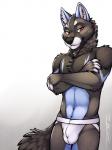 anthro black_body black_fur blue_body blue_fur bulge chest_tuft clothed clothing detailed_bulge fur inner_ear_fluff jockstrap male red_eyes solo topless tuft underwear white_clothing white_underwear tsaiwolf dracenfer arrin canid canine canis mammal wolf 3:4 hi_res