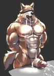 abs anthro barazoku biped black_nose blindfold bodily_fluids cheek_tuft cum cum_on_chest cum_on_face cum_on_penis cumshot ejaculation erection facial_tuft fur genital_fluids genitals glans glistening glistening_body glistening_genitalia glistening_penis grey_background hands-free hands_behind_back humanoid_genitalia humanoid_penis male male_anthro multicolored_body multicolored_fur multicolored_tail muscular muscular_anthro muscular_male nipples nude nude_anthro nude_male open_mouth orange_body orange_fur orange_tail pecs penis pink_glans pink_nipples pointy_ears simple_background solo spontaneous_ejaculation tail tongue tuft white_body white_fur white_penis white_tail kemonokoko canid canine mammal 2023 absurd_res digital_media_(artwork) hi_res