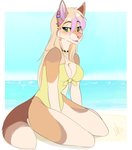 anthro beach bisexual_pride_colors blonde_hair blush blush_lines breasts clothed clothing ear_piercing ear_ring eyebrows eyelashes female green_eyes hair jewelry lgbt_pride lipstick makeup piercing pride_color_piercing pride_colors ring_piercing sand seaside sitting smile solo water wolflady rinka_eya canid canine canis fox mammal 2020 digital_media_(artwork) signature