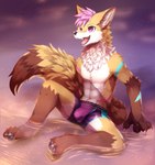 2021 abs anthro beach bulge canid canine canis clothing detailed_bulge happy hi_res ivan-jhang japanese_wolf male mammal marou open_mouth purple_eyes seaside simple_background sitting smile solo swimming_trunks swimwear water wolf