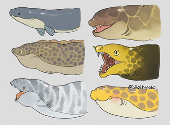 ambiguous_feral ambiguous_gender brown_body dot_eyes feral fin gills glistening glistening_body grey_body group markings open_mouth simple_background simple_eyes spots spotted_body striped_body stripes teeth tongue yellow_body aoihinoki1024 eel_(aoihinoki1024) aquatic eel fish goldentail_moray moray_eel headshot_portrait hi_res portrait signature