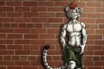 abs anthro athletic athletic_male bottomwear clothed clothing green_bottomwear green_clothing green_eyes green_shorts hair male pubes red_hair shorts smile smirk solo text topless black-kitten finnian_ennis felid feline mammal pantherine tiger 3:2 hi_res translated