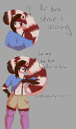 ambiguous_gender anthro big_tail bottomwear clothed clothing clothing_lift dark_hair flat_chested fur gloves_(marking) hand_on_hip legwear markings navel offscreen_character purple_eyes red_body red_fur shirt shirt_lift shorts simple_background smug solo stockings straps striped_markings striped_tail stripes tail tail_markings tan_body tan_fur text topwear lumiwah bra_strap_showing_(meme) lumi_(lumiwah) ailurid mammal red_panda 2026 absurd_res artist_name digital_drawing_(artwork) digital_media_(artwork) english_text hi_res meme shaded signature nonbinary_(lore)