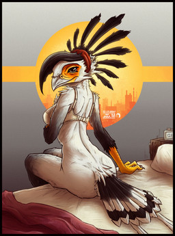 alarm_clock anthro avian_arms beak bed bed_sheet bedding big_breasts biped black_body black_feathers blanket bottomless bra breasts butt clock clothed clothing feathers female furniture grey_background grey_body grey_eyes grey_feathers looking_at_viewer looking_back non-mammal_breasts on_bed orange_body orange_scales pillow rear_view scales scuted_arms scuted_hands scutes side_boob simple_background sitting solo text underwear white_body white_feathers sunkenshrines zuri_(lolzguy) accipitriform avian bird secretary_bird 2016 english_text signature