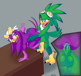 abdominal_bulge anthro beak blue_eyes bodily_fluids breasts butt chest_tuft clitoris cum cum_in_vagina cum_inside duo eyewear feet female genital_fluids genitals gesture goggles grabbing_from_behind green_body half-closed_eyes hand_gesture humanoid_genitalia humanoid_penis intraspecies kerchief looking_pleasured male male/female motion_lines narrowed_eyes penetration penile penile_penetration penis penis_in_vagina purple_body sex standing standing_sex tail talons toes tongue tongue_out tuft v_sign vaginal vaginal_penetration vulva rakkan sega sonic_riders sonic_the_hedgehog_(series) jet_the_hawk wave_the_swallow accipitrid accipitriform avian bird hirundinid oscine passerine swallow_(bird) absurd_res hi_res
