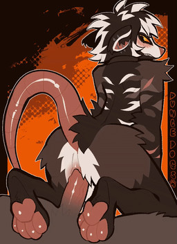 anal anal_penetration anthro anus cowgirl_position duo from_front_position fur fur_markings genitals humanoid_genitalia humanoid_penis male male/male markings on_bottom on_top pattern_background pawpads penetration penile penile_penetration penis piercing sex simple_background tail duncedogs aurora_skull american_opossum mammal marsupial virginia_opossum animated hi_res