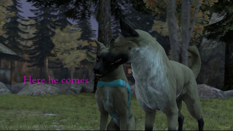 accurate_knotting anatomically_correct angry animal_genitalia animal_penis animal_vulva arms_around_shoulders arms_around_waist ass_to_ass ball balls bite blue_eyes blue_harness bodily_fluids bouncing_balls brown_eyes building canine_genitalia canine_penis canine_vulva caught_in_the_act close-up close_up_panel collar cum cum_in_vagina cum_inside cunnilingus dialogue disappointed dismounting doggystyle duo ears_down erection face_lick fast_sex father_penetrating_daughter female female_penetrated feral feral_on_feral feral_penetrated feral_penetrating feral_penetrating_feral from_behind_position full_render fur furniture gazebo genital_fluids genitals grandfather_penetrating_granddaughter grass harness house humping impregnation inbreeding inside intraspecies knot knot_root knotted_penis knotting licking licking_nose looking_at_another looking_pleasured lying_on_ground male male/female male_penetrating male_penetrating_female mating_grip mounting multicolored_body multicolored_fur neck_bite night on_ground open_mouth oral outside painting_(object) penetration penile penile_penetration penis penis_in_vagina pivoted_ears plant pregnant pregnant_female pregnant_feral quadruped realistic_feral reverse_doggystyle sex sheath surprised tail tail_motion tailwag talking_feral teaching teeth text thigh_sex time_skip tongue tongue_out vaginal vaginal_knotting vaginal_penetration vulva walking wanting_sex wolfland subscribestar leila_(wolfland) timber_(wolfland) willow_(wolfland) arthropod beetle canid canine canis domestic_dog elateroid firefly german_shepherd herding_dog hunting_dog insect mammal pastoral_dog 16:9 2026 3d_(artwork) 3d_animation animated digital_media_(artwork) hi_res high_framerate huge_filesize long_playtime no_sound source_filmmaker_(artwork) video watermark widescreen daughter_(lore) father_(lore) father_and_child_(lore) father_and_daughter_(lore) grandchild_(lore) granddaughter_(lore) grandfather_(lore) grandfather_and_grandchild_(lore) grandfather_and_granddaughter_(lore) grandparent_(lore) grandparent_and_grandchild_(lore) inbred_(lore) incest_(lore) multigenerational_incest_(lore) parent_(lore) parent_and_child_(lore) parent_and_daughter_(lore) polygenerational_incest_(lore)