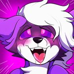 ahegao ambiguous_gender anthro blush bodily_fluids drooling femboy fur hair heart_eyes heart_symbol hypnosis looking_pleasured mind_control moan multicolored_body multicolored_fur neck_tuft open_mouth purple_body purple_fur saliva solo sweat tuft white_body white_fur rindeadsong neve_(naneve) mammal procyonid raccoon 1:1 2d_animation animated loop short_playtime subtle_animation