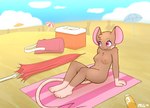 anthro beach breasts brown_body brown_fur casual_nudity exhibitionism female fur group navel nipples nude nude_beach nude_female pink_eyes public public_nudity sand seaside solo_focus milachu92 milachu mammal mouse murid murine rodent hi_res