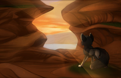 detailed_background feral fur grey_body grey_fur male outside quadruped solo standing sunset magenta7 canid canine mammal 14:9 digital_media_(artwork) shaded warm_colors