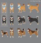 :3 ambiguous_gender black_nose blue_eyes chest_tuft claws collar countershading curled_tail feral group kerchief paws standing tail text trio tuft xvalociraptor little_kitty_big_city big_potato_(lkbc) unnamed_character canid canine canis domestic_dog mammal shiba_inu spitz 3d_(artwork) concept_art digital_media_(artwork) english_text hi_res model_sheet official_art photography_(artwork)