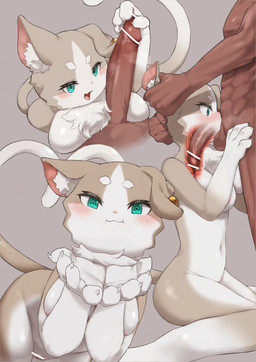 anthro biped breasts duo erection featureless_breasts female fur genitals grey_body grey_fur grey_tail inner_ear_fluff internal male male/female multicolored_body multicolored_fur multicolored_tail navel nude nude_female oral oral_penetration penetration penile penile_penetration penis sex tail tuft white_body white_fur white_tail xux_(artist) re:zero puck puck_(re:zero) felid feline human mammal absurd_res hi_res