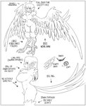 armless big_breasts biped bodily_fluids breasts crotch_tuft curvy_figure fangs feathered_tail feathered_wings feathers feet female humanoid_face nude question_mark sharp_teeth solo sweat sweatdrop tail talons teeth text toes tuft voluptuous voluptuous_female wings cibastion european_mythology greek_mythology mythology animal_humanoid avian harpy humanoid mythological_avian mythological_creature english_text greyscale hi_res model_sheet monochrome