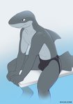 anthro black_eyes bulge clothed clothing countershading diving_board fin male sitting solo swimming_pool swimwear underwear water shiuk fish marine shark absurd_res hi_res