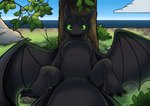 claws feral grass looking_at_viewer male plant rock sea sitting solo tree water horsen dreamworks european_mythology how_to_train_your_dragon mythology toothless dragon fury_(httyd) mythological_creature mythological_scalie night_fury scalie western_dragon