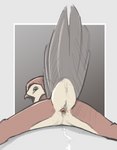 after_sex ambiguous_gender animal_genitalia anthro avian avian_butt bird bodily_fluids butt cloaca cum cum_in_cloaca cum_inside cum_trail gaping gaping_cloaca genital_fluids genitals leaking leaking_cum looking_at_viewer looking_back looking_pleasured lying nude on_front open_mouth owl presenting presenting_cloaca presenting_hindquarters raised_tail rear_view simple_background solo tail tuke