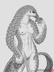 5_fingers abs anthro areola breasts claws female fingers genitals long_tongue muscular muscular_female nipples nude patreon_username pecs pecs_with_breasts pubes pussy scales scaly_tail simple_background small_breasts smile solo tail text tongue anisis mammal pangolin 2021 artist_name digital_media_(artwork) hi_res monochrome url