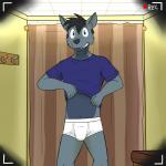 1:1 anthro black_hair blue_clothing blue_eyes blue_shirt blue_topwear briefs bulge canid canine canis clothing coat_hook fitting_room front_view fuze hair hi_res inside looking_at_viewer male mammal one_way_mirror recording shirt solo standing t-shirt tighty_whities topwear underwear vignette white_briefs white_clothing white_underwear wolf