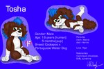 blue_ear_tips blue_hair brown_body brown_fur dipstick_ears ear_markings feral floppy_ears fur green_eyes hair list male multicolored_ears pose simple_background smile solo text white_body white_fur young mobywidebody paw_patrol fan_character tosha_(tosha68) canid canine canis cockapoo domestic_dog mammal mixed_breed portuguese_water_dog 3:2 absurd_res english_text hi_res japanese_text