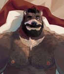 anthro beard body_hair brown_eyes brown_hair chest_hair chest_tuft close-up facial_hair hair hairy looking_at_viewer male manly mature_male muscular mustache nipples one_eye_closed pecs shoulder_hair smile smiling_at_viewer solo tuft naikuma bear mammal 2024 hi_res