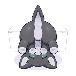anus chibi countershading disembodied_penis female female_feral feral front_view fur genitals green_eyes grey_body grey_fur innie_vulva looking_at_viewer multicolored_body multicolored_fur open_mouth paws penis quadruped short_tail simple_background solo tail two_tone_body two_tone_fur upside_down vulva white_background white_body white_countershading white_fur zyuuniie domestic_cat felid feline felis mammal 1:1 2026 cel_shading digital_drawing_(artwork) digital_media_(artwork) hi_res shaded
