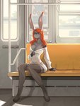 anthro arm_support bare_shoulders big_breasts big_ears black_nose breasts cleavage clothed clothing day eyebrows facial_markings female fingerless_(marking) footwear fur green_eyes grey_body grey_fur hair head_markings inside inside_train legwear long_hair markings mask_(marking) orange_eyebrows orange_hair poster public_transportation scut_tail shadow shoes short_tail shoulderless_sweater sitting smile smug solo sweater tail thigh_highs topwear train vehicle mervvin vera_(pitoux2) lagomorph leporid mammal rabbit hi_res