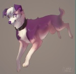 action_pose collar digitigrade female feral heterochromia looking_at_viewer orange_eyes pose purple_eyes quadruped simple_background solo tail iexploded dokuga australian_shepherd canid canine canis domestic_dog herding_dog mammal pastoral_dog sheepdog 2012