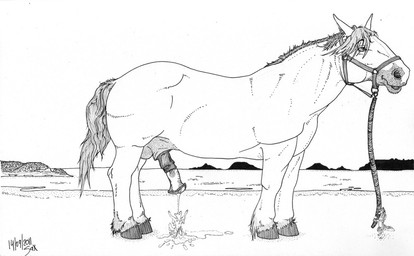 anthro bodily_fluids cum cum_bath duo erection extreme_size_difference feral genital_fluids genitals male male/male outside penis quadruped side_view size_difference standing tail sax equid equine horse mammal 2011 black_and_white dated hatching_(art) line_art monochrome shaded signature