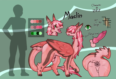 anus black_claws butt claws femboy feral fur genitals knot male mane penis perineum pink_anus pink_body pink_fur pink_knot pink_mane pink_penis solo fiftyfifthfleet mythology maelin_(zez) dragon furred_dragon furred_scalie mythological_creature mythological_scalie scalie absurd_res hi_res model_sheet