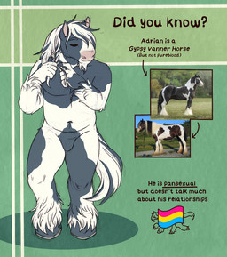5_fingers anthro biped feathering featureless_crotch fingers fur grey_body grey_fur grey_highlights hair highlights_(coloring) hooves humanoid_hands lgbt_pride male male_anthro multicolored_body multicolored_fur navel nude nude_anthro nude_male pansexual_pride_colors pride_colors solo standing stated_pansexuality stated_sexuality text two_tone_body two_tone_fur unguligrade white_body white_fur white_hair kantachibli adrian_(kantachibli) equid equine gypsy_vanner horse mammal english_text hi_res model_sheet