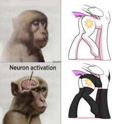 butt clothing female feral horn legwear ponification solo thigh_highs wings user001 friendship_is_magic hasbro my_little_pony mythology princess_celestia_(mlp) equid equine mammal mythological_creature mythological_equine winged_unicorn 1:1 hi_res meme