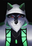 anthro black_body black_fur clothing fur glare green_eyes hoodie jewelry male multicolored_body multicolored_fur necklace red_sclera solo topwear white_body white_fur inugami1837 lifewonders live_a_hero monomasa canid canine canis domestic_dog husky mammal nordic_sled_dog spitz half-length_portrait hi_res portrait