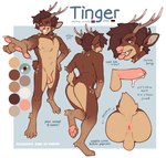 4_toes 5_fingers anthro antlers anus balls bisexual_pride_colors brown_body brown_hair butt canine_teeth erection facial_piercing feet fingers flaccid foreskin genitals german_flag hair horn humanoid_genitalia humanoid_penis lgbt_pride looking_at_viewer male nipples nose_piercing nose_ring one_eye_closed penis piercing pride_colors ring_piercing solo standing text toes wink kyrosh tinger deer hybrid mammal english_text model_sheet