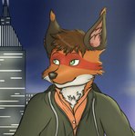 anthro city city_background clothing green_eyes inner_ear_fluff jacket lights male shirt smile solo topwear tower tuft thux-ei canid canine fox mammal red_fox true_fox hi_res portrait